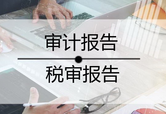 年審/專項審計報告