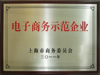 電子商務(wù)示范企業(yè)認定